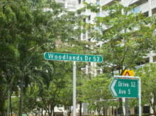 Woodlands Drive 52 #92492